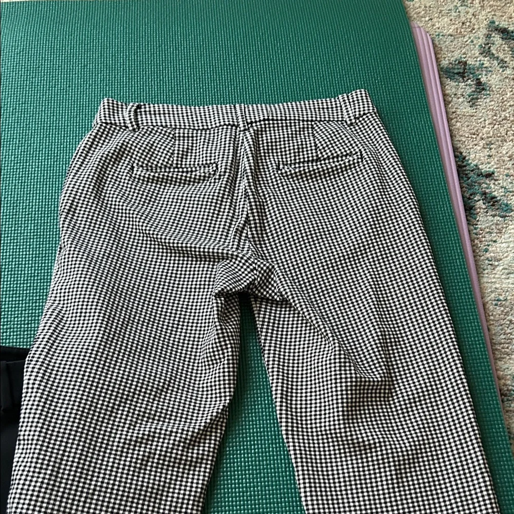 LOFT pants bundle